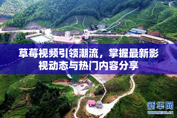 草莓视频引领潮流，掌握最新影视动态与热门内容分享