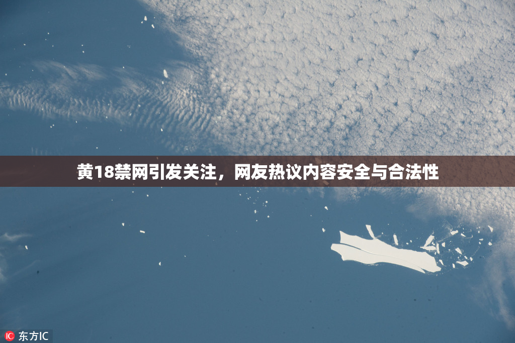 黄18禁网引发关注，网友热议内容安全与合法性