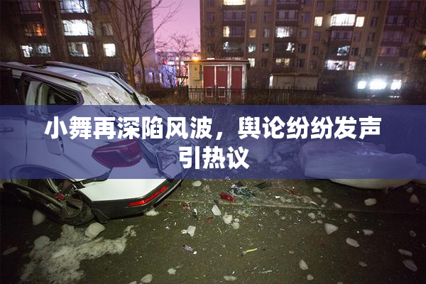 小舞再深陷风波，舆论纷纷发声引热议