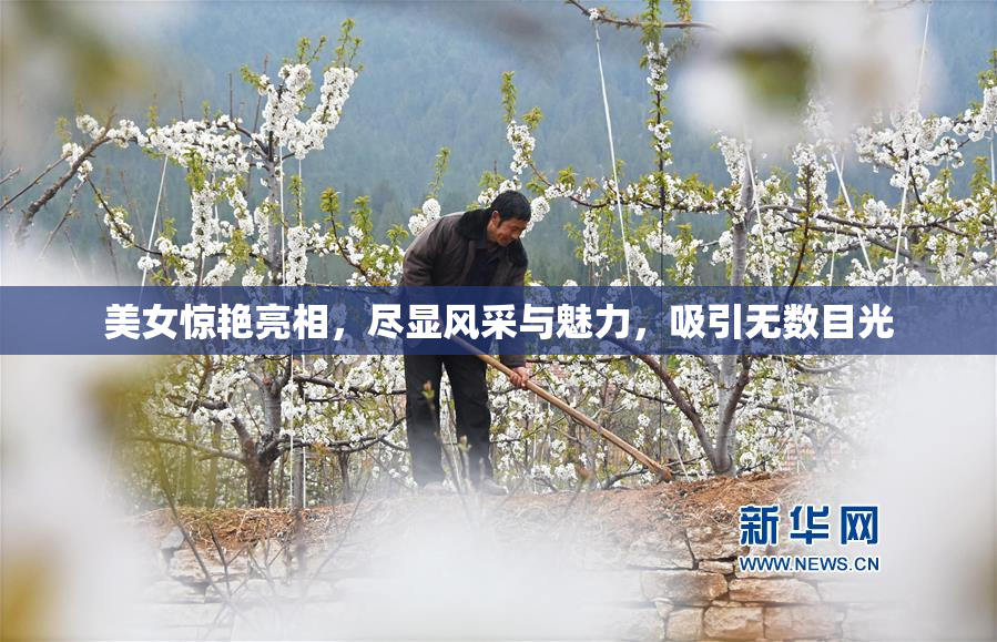 美女惊艳亮相，尽显风采与魅力，吸引无数目光