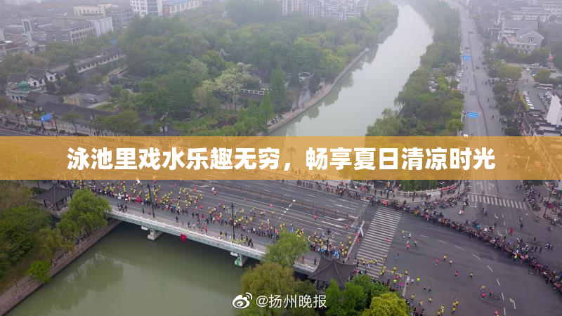 泳池里戏水乐趣无穷，畅享夏日清凉时光