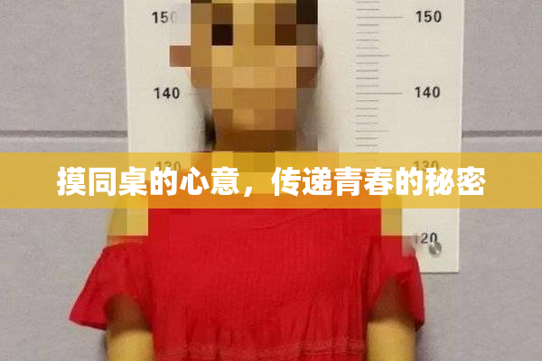 摸同桌的心意，传递青春的秘密