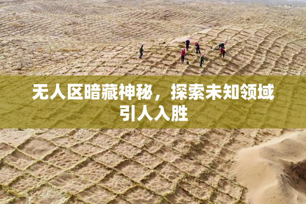 无人区暗藏神秘，探索未知领域引人入胜