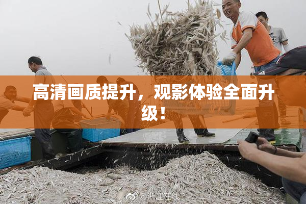 高清画质提升，观影体验全面升级！