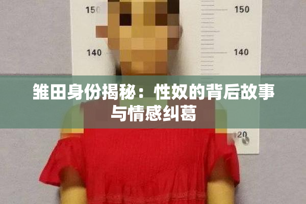 雏田身份揭秘：性奴的背后故事与情感纠葛