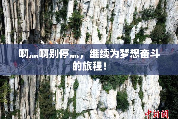 啊灬啊别停灬，继续为梦想奋斗的旅程！