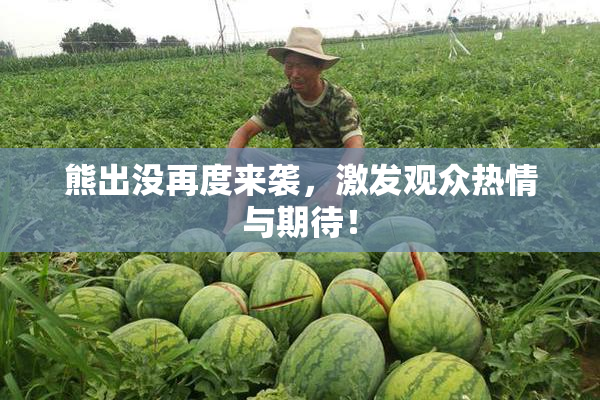 熊出没再度来袭，激发观众热情与期待！