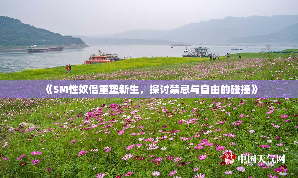 《SM性奴侣重塑新生，探讨禁忌与自由的碰撞》