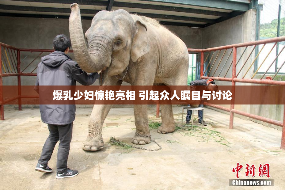 爆乳少妇惊艳亮相 引起众人瞩目与讨论