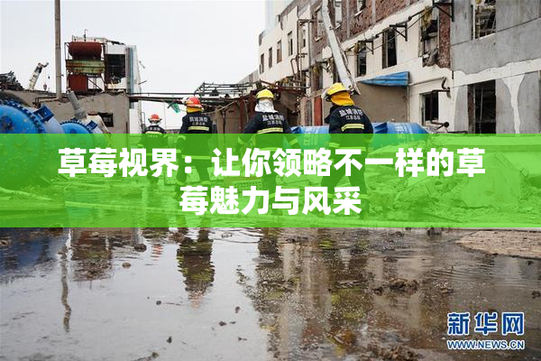草莓视界：让你领略不一样的草莓魅力与风采
