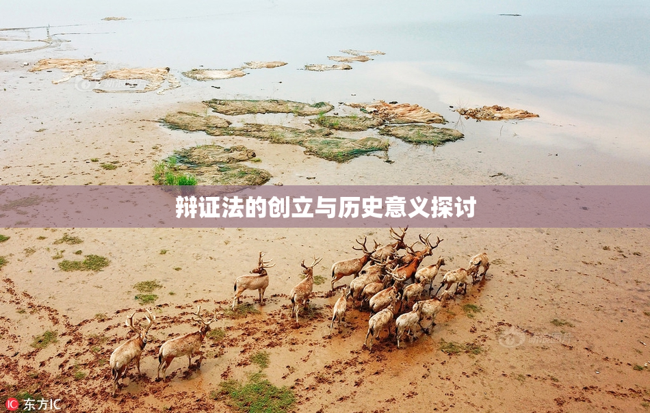 辩证法的创立与历史意义探讨