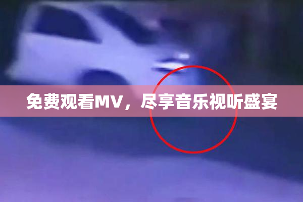 免费观看MV，尽享音乐视听盛宴