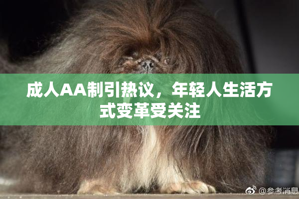 成人AA制引热议，年轻人生活方式变革受关注