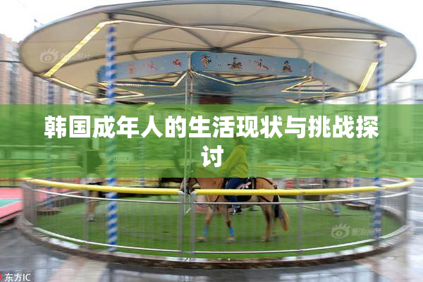 韩国成年人的生活现状与挑战探讨