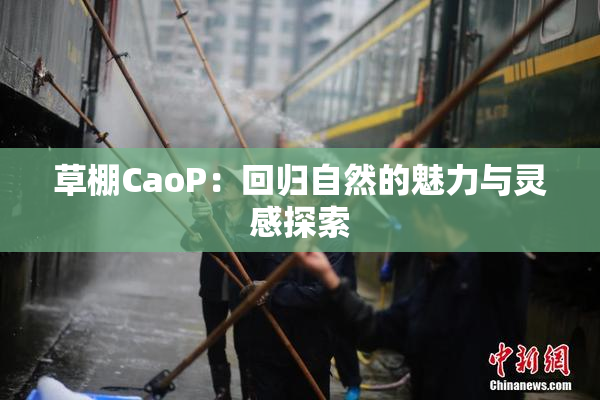 草棚CaoP：回归自然的魅力与灵感探索
