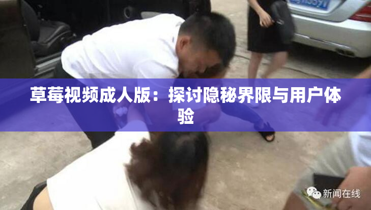 草莓视频成人版：探讨隐秘界限与用户体验