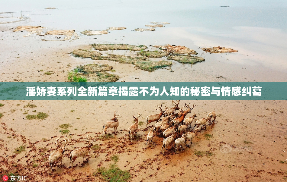 淫娇妻系列全新篇章揭露不为人知的秘密与情感纠葛