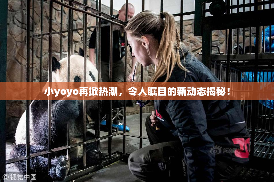 小yoyo再掀热潮，令人瞩目的新动态揭秘！