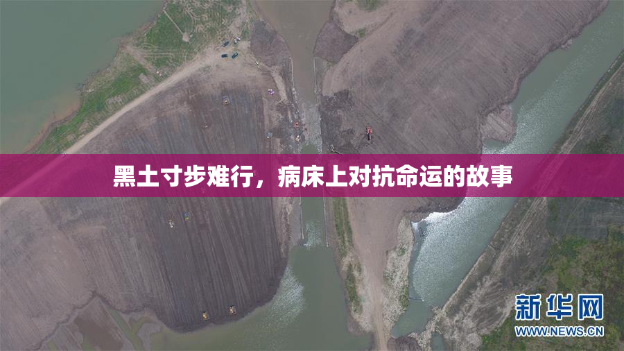 黑土寸步难行，病床上对抗命运的故事