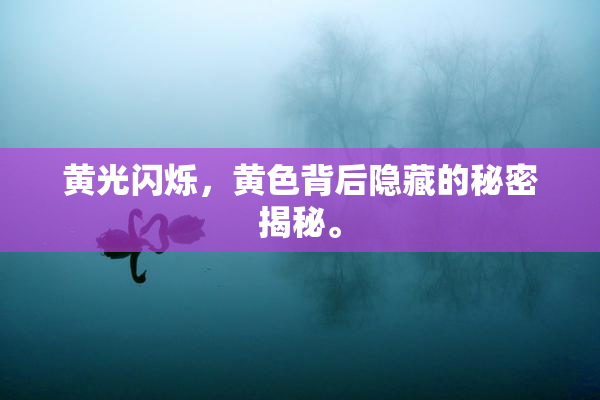黄光闪烁，黄色背后隐藏的秘密揭秘。