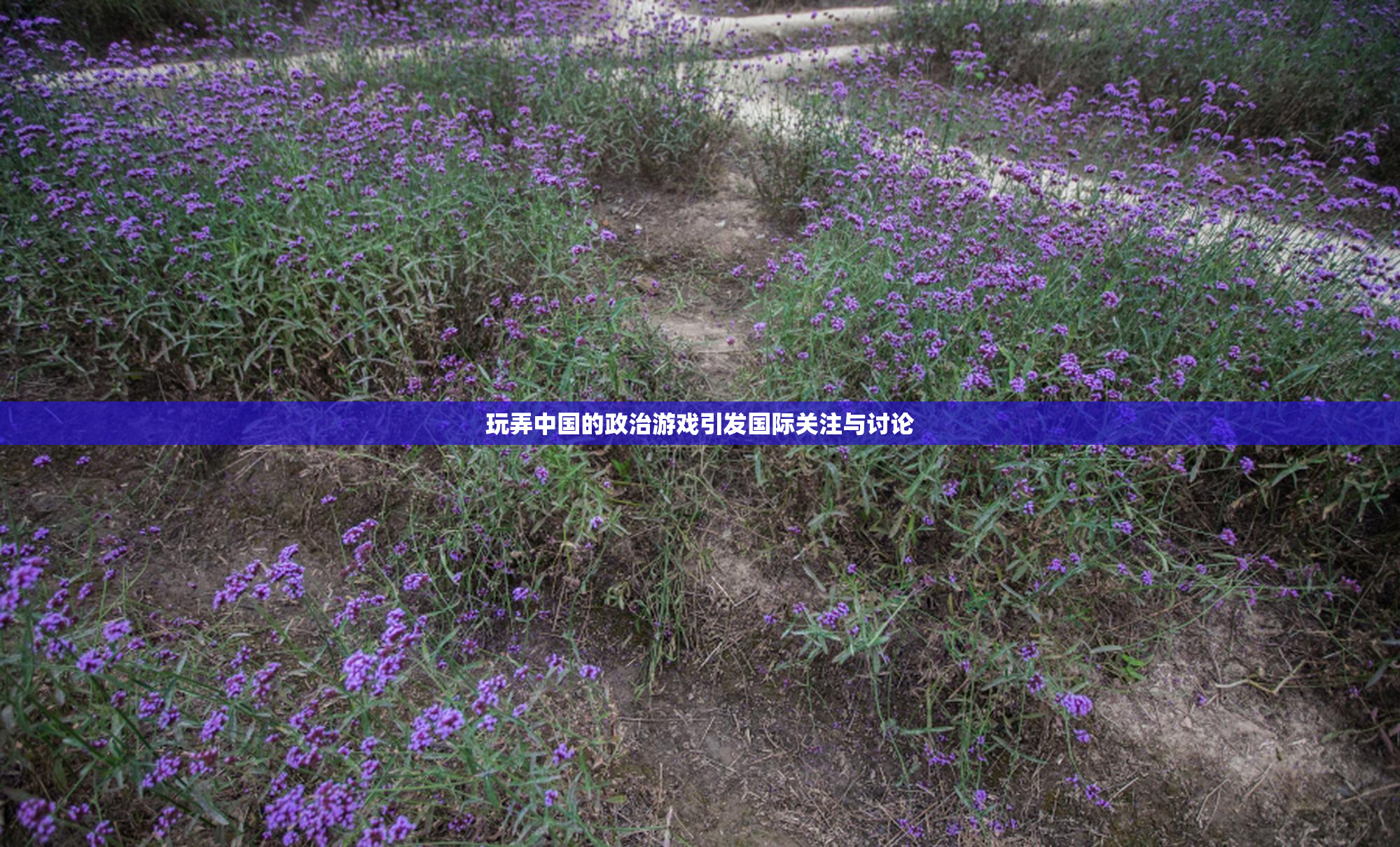 玩弄中国的政治游戏引发国际关注与讨论