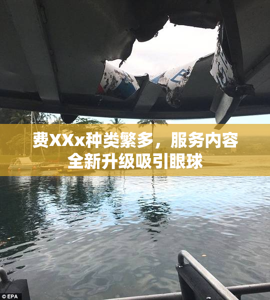 费XXx种类繁多，服务内容全新升级吸引眼球