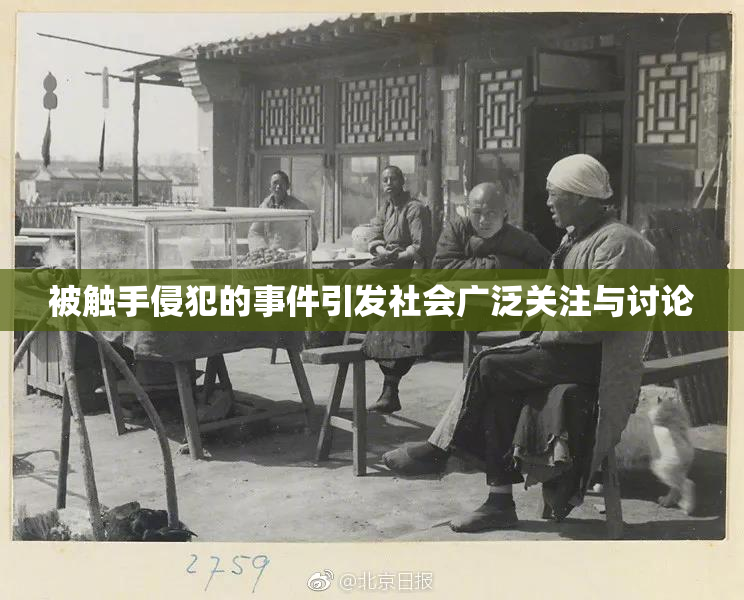 被触手侵犯的事件引发社会广泛关注与讨论