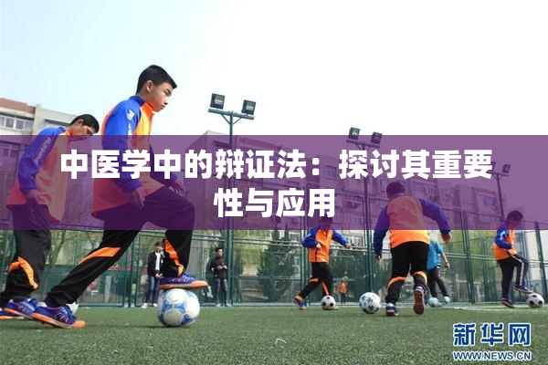 中医学中的辩证法：探讨其重要性与应用