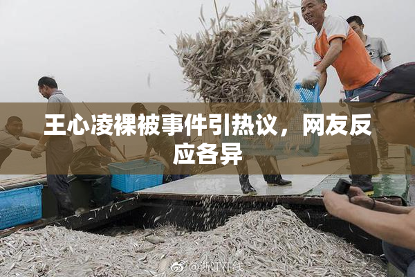 王心凌裸被事件引热议，网友反应各异