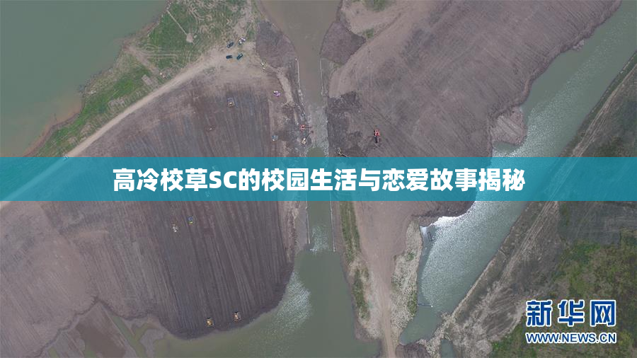 高冷校草SC的校园生活与恋爱故事揭秘
