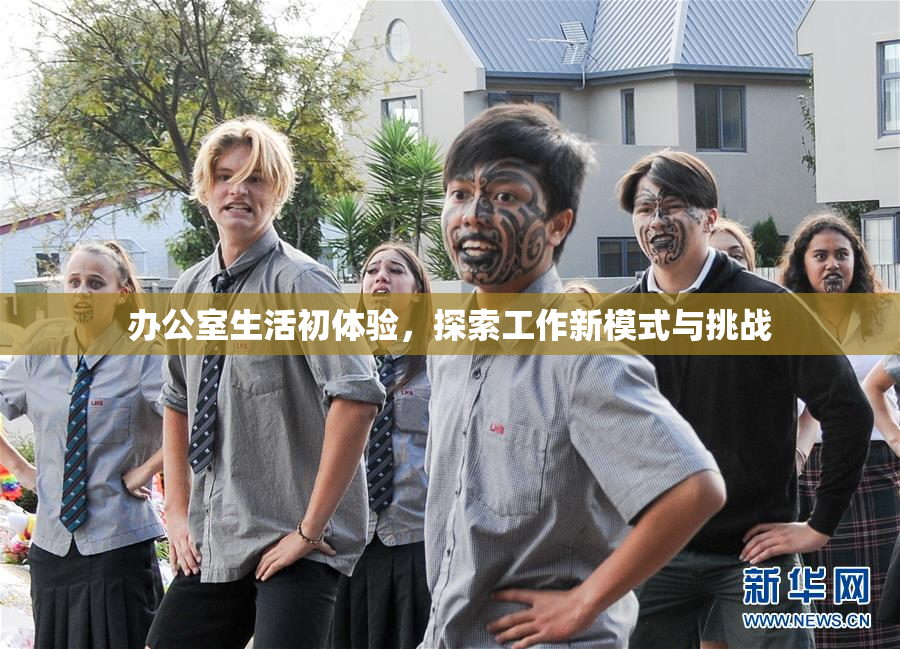 办公室生活初体验，探索工作新模式与挑战