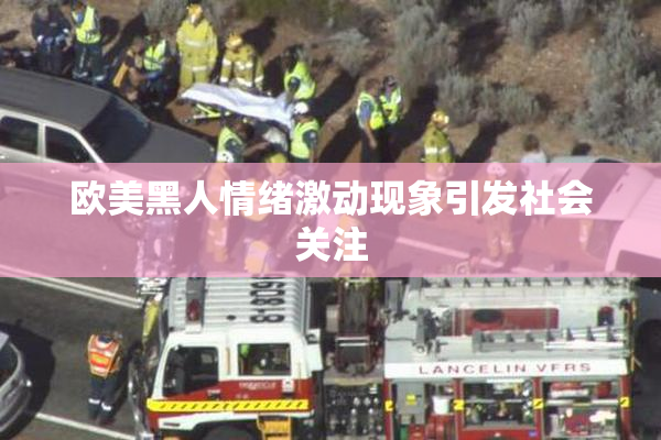 欧美黑人情绪激动现象引发社会关注