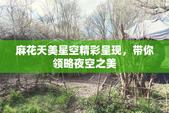 麻花天美星空精彩呈现，带你领略夜空之美