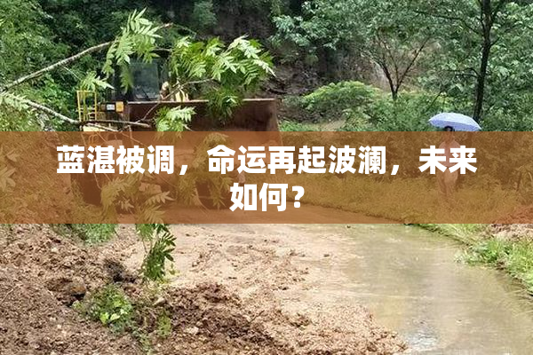 蓝湛被调，命运再起波澜，未来如何？
