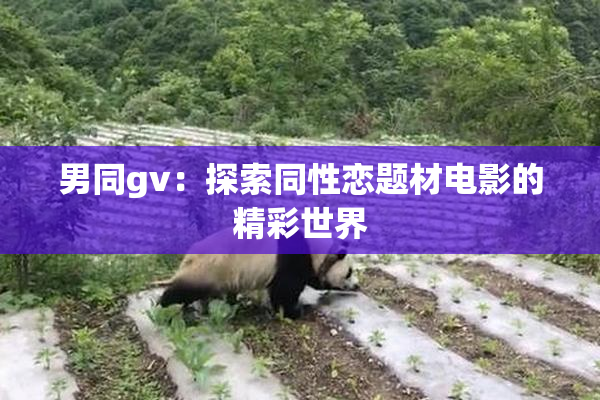男同gv：探索同性恋题材电影的精彩世界