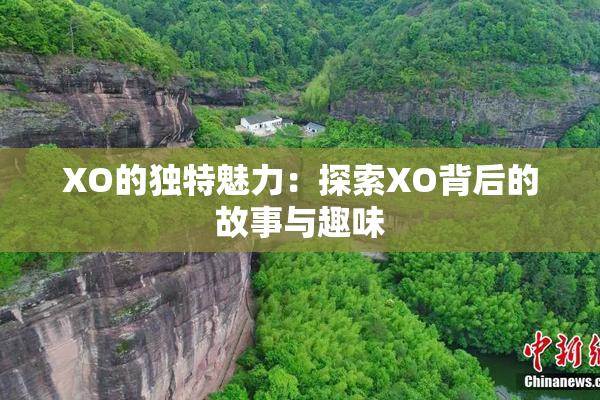 XO的独特魅力：探索XO背后的故事与趣味