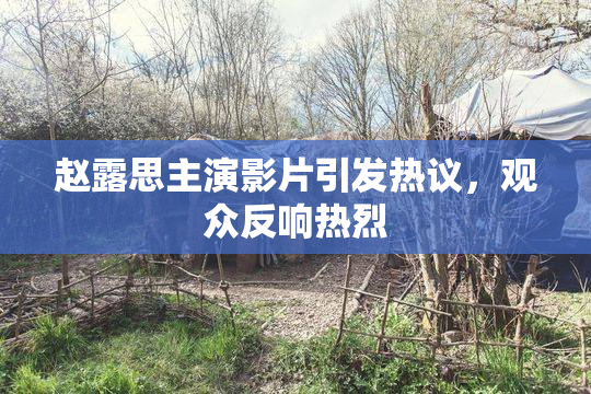 赵露思主演影片引发热议，观众反响热烈