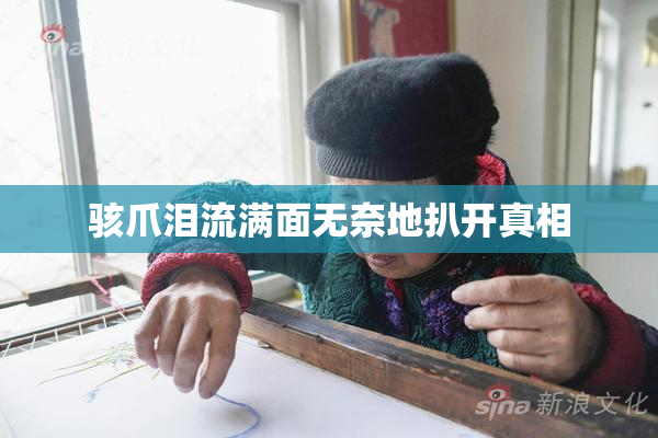 骇爪泪流满面无奈地扒开真相