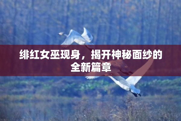绯红女巫现身，揭开神秘面纱的全新篇章