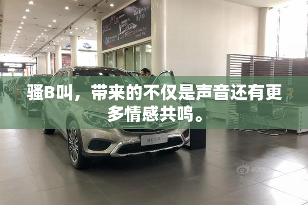 骚B叫，带来的不仅是声音还有更多情感共鸣。