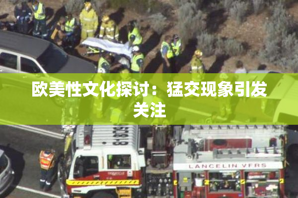 欧美性文化探讨：猛交现象引发关注