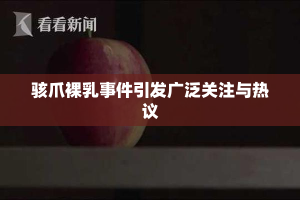 骇爪裸乳事件引发广泛关注与热议