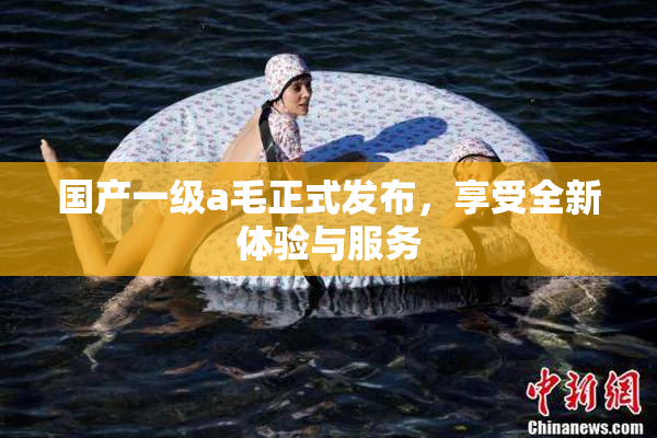国产一级a毛正式发布，享受全新体验与服务