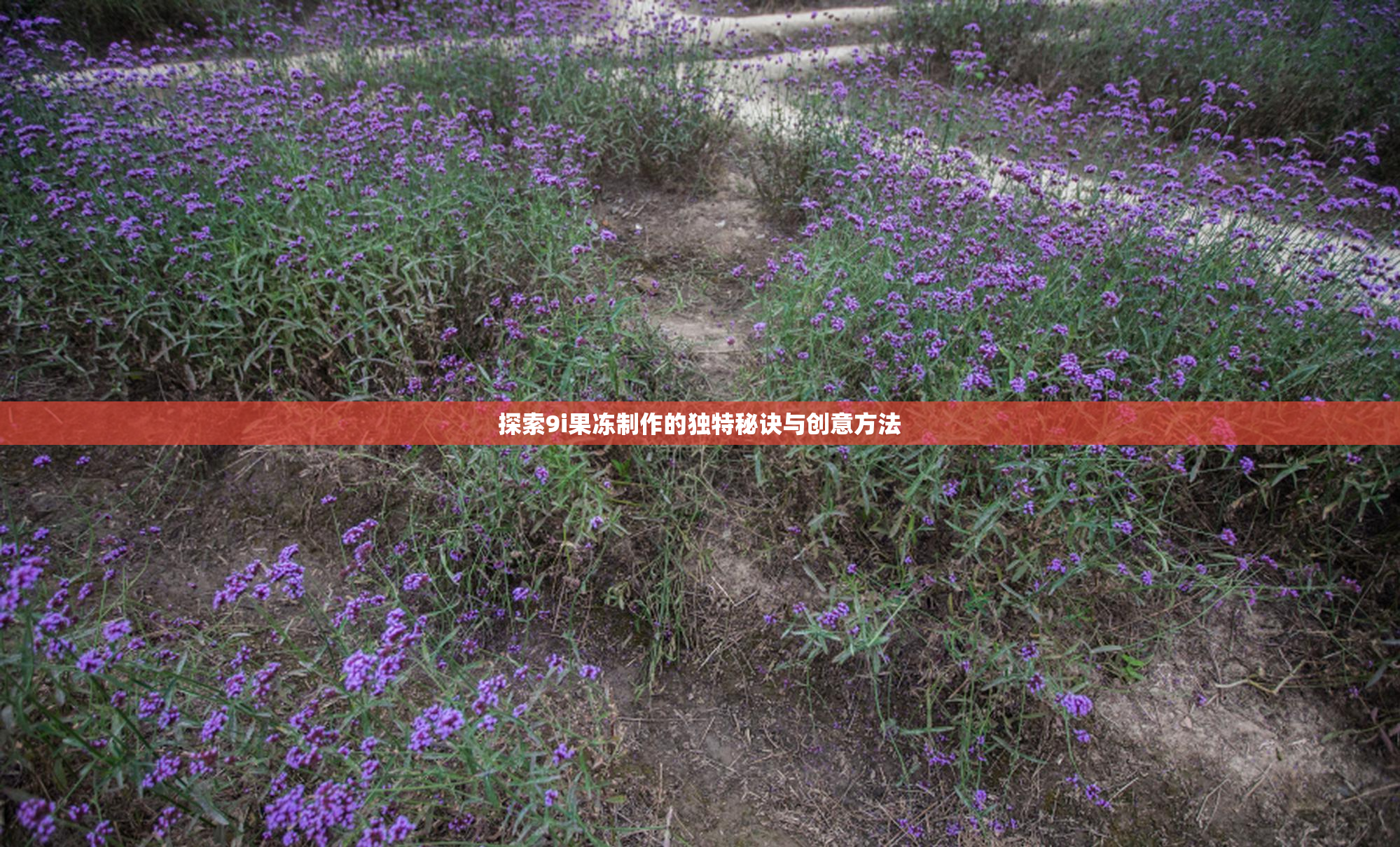 探索9i果冻制作的独特秘诀与创意方法