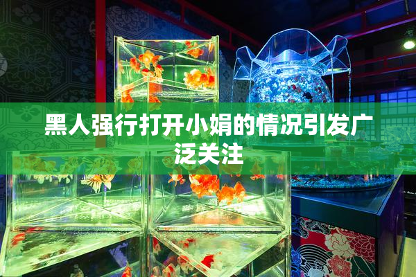黑人强行打开小娟的情况引发广泛关注