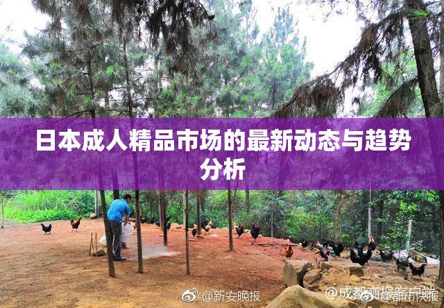 日本成人精品市场的最新动态与趋势分析