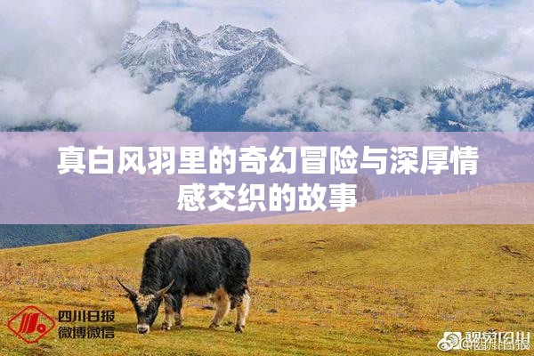 真白风羽里的奇幻冒险与深厚情感交织的故事