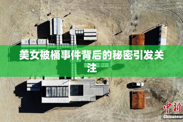 美女被桶事件背后的秘密引发关注