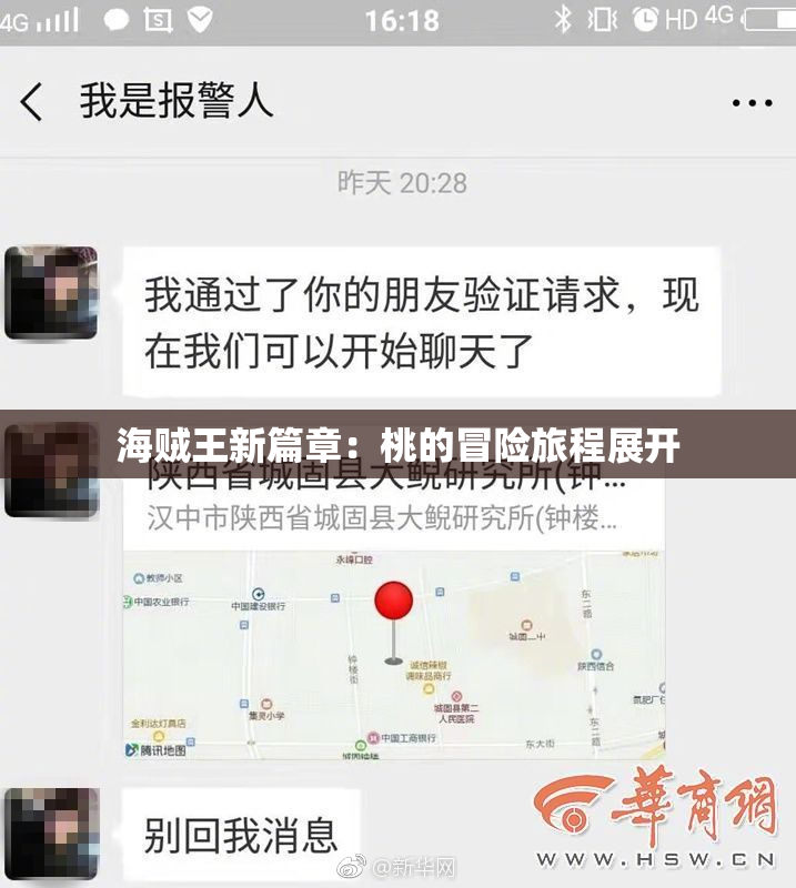 海贼王新篇章：桃的冒险旅程展开