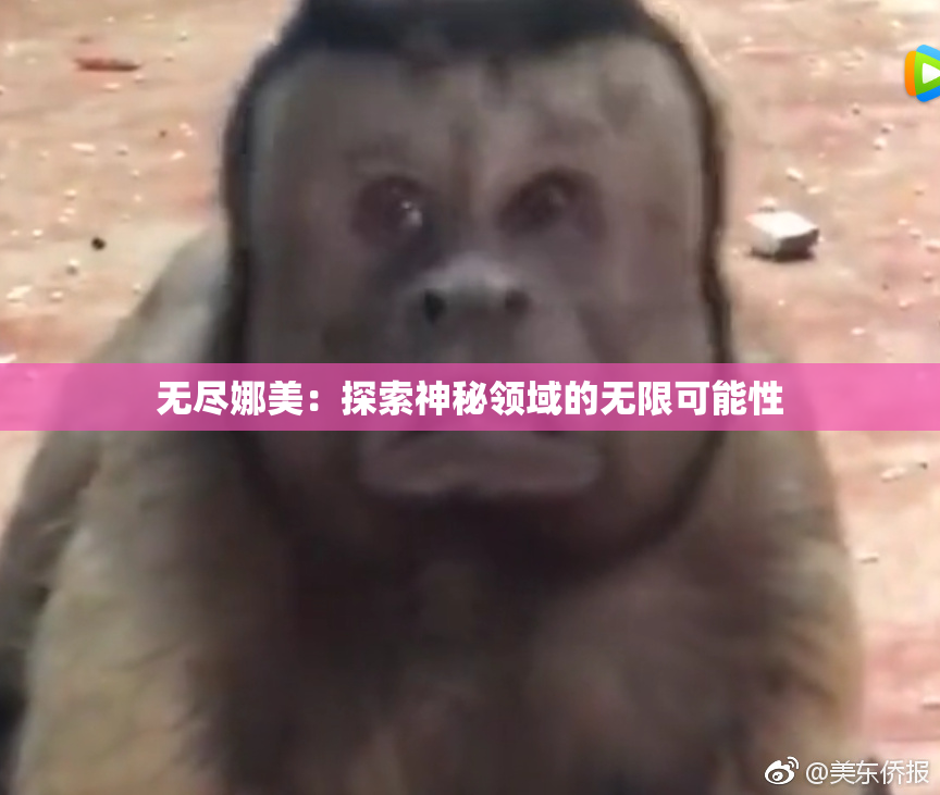 无尽娜美：探索神秘领域的无限可能性